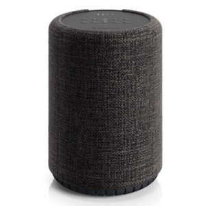 Audio Pro G10 Gris foncé